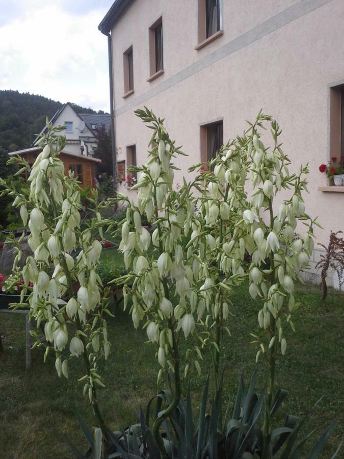 Ferienwohnung Buechsenhof Prossen Exterior foto